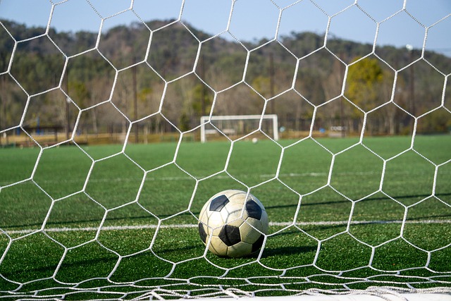 庭背景和天 庭背景和天