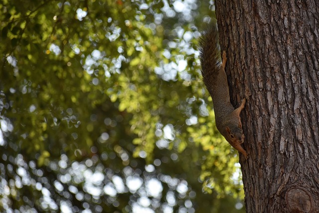 让您重温那 让您重温那