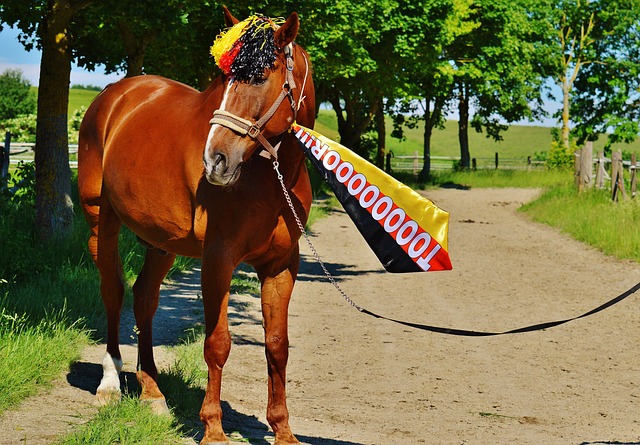 一场经典战 一场经典战