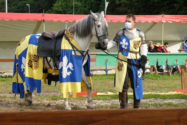 拜仁的成功 拜仁的成功