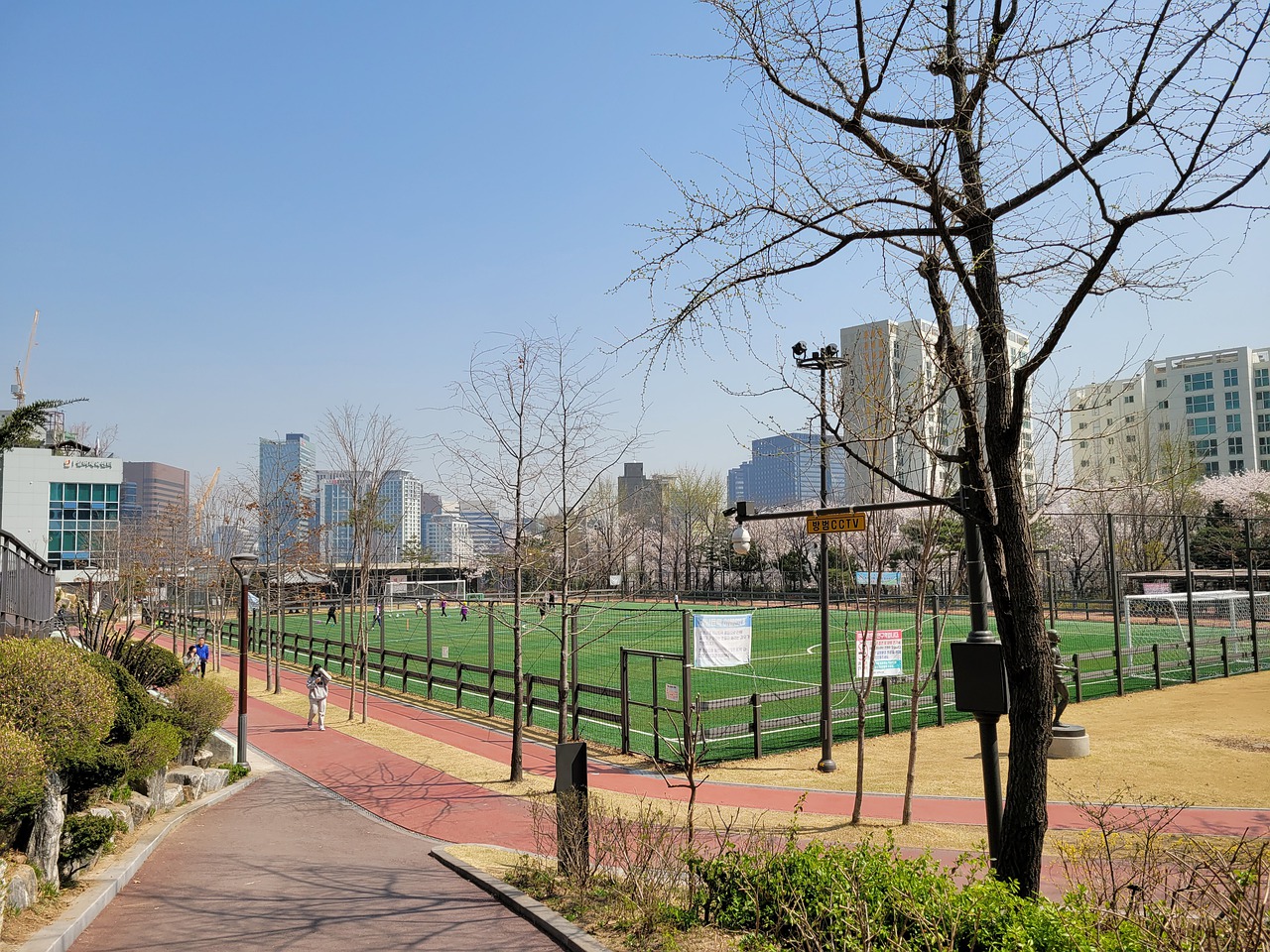 文化和挑战 文化和挑战