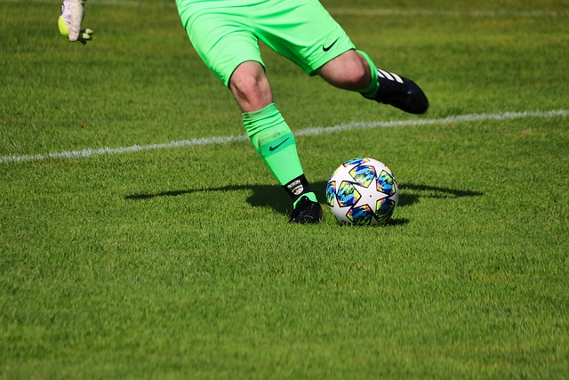 了他的经验 了他的经验